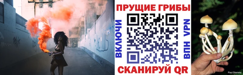 Галлюциногенные грибы ЛСД  дарнет шоп  Ярославль 